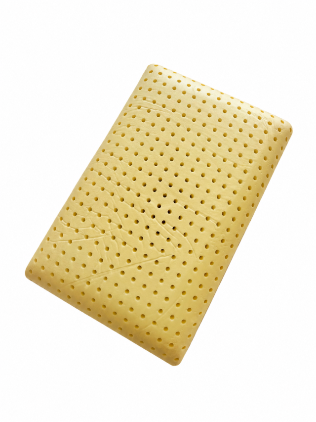 OREILLER REVIVE CLASSIC